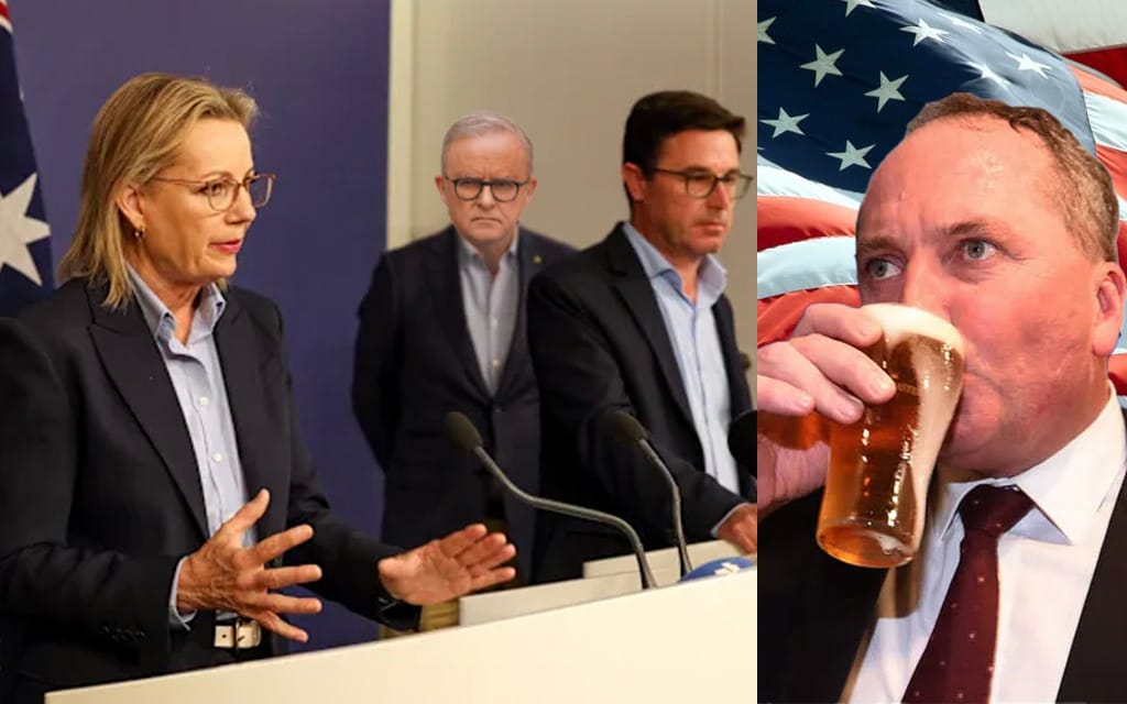 Albanese, Ley, Littleproud, Australian Public All In Support Of Appointing Barnaby As US Ambassador If It Shuts Him The Fuck Up