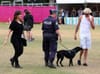 NSW Police Advise Festivalgoers To Do All Their Drugs At Gate Or Risk Pointless Drama