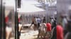 Amazing new study reveals that Manus Island is a “fucking shithole”