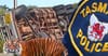 Sumatran tiger escapes after truck accident in northern Tasmania