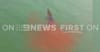 BREAKING: NT Police on the hunt for “croc killer” shark