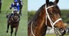 Winx Tests Positive To Recreational Cocaine Four Days After Historic Cox Plate Win