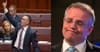 Richard Di Natale labels Scott Morrison a ‘typical Taurus’ in speech to Senate