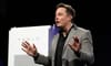 Elon Musk Guarantees Driverless Cars Will Not Stop For Roos
