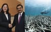Palaszczuk Grants Adani Permission To Begin Milling Bleached Coral Into Cement Mix