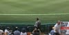 Overexcited Cricket Fan Wastes Crucial Social Media Photo On Gabba Outfield Before Play