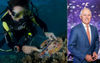 GBRF Announce Plans To Spend $444 Million Painting All The Coral Pretty Colours Again