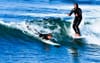 Surf School’s Final Lesson Teaches Students How To Fight A Local After Repeatedly Dropping In On Them