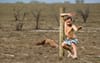 Remaining Fence Posts In North QLD Ruined By Slacklines After PETA Finally Arrive To Help Out