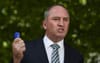 Distraught Barnaby Joyce Reveals He Has No Option But To Sell His Prized Blue Mufasa Ooshie