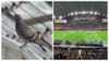 Rugby’s Marketing Pigeon Delivers Rousing Half Time Speech In Effort To Turn Things Around