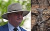 Barnaby Says Lets Not Get Political Because Half A Billion Dead Animals Probably Voted Greens