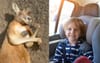 Roadside Kangaroos Are ‘Sleeping’ Confirms Dad