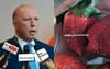 Peter Dutton Reckons He Saw Kevin Rudd Poking Needles Into Fruit At Rocklea Markets In 2018