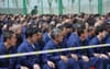 1 Million Uyghurs In Detention Camps Praise China’s Humanitarian Stance On War Crimes