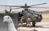 Government Says We Need New Apache Helicopters To Make Sure No More American Pigeons Invade Us