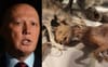 Removalists Ask Dutton Where He’d Like His Collection Of Dried Cats To Go In His New Office