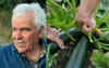 Elderly Greek Neighbour Wants To Know If You Need 10kgs Of Zucchini
