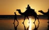 Fuck… He’s Done It Again! Scotty Gets Special Exemption For Sunset Camel Ride At Cable Beach