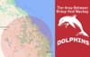 NRL Finally Settles On A Region For Expansion Club: The Area-Between-Brissy-And-Mackay Dolphins