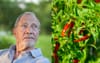 Report: Dad’s Chillis Have Been Loving The Rain