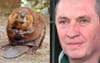 Barnaby Visits The Beavers Again At The Zoo Because Only They Understand His Love For Dams