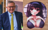 Albo Christens New Kirribilli Home Office With Some Cute Knick Knacks He Got From Japan
