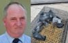 Povo Barnaby Gets On With The Job After Taking 60% Pay Cut By Catching 11 Pigeons To Feed His Growing Family