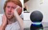 Bewildered British Ex-Pat Asks Alexa What A ‘Dog’s Eye’ Is After Spending Afternoon At The RSL