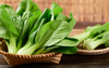 Report: Bok Choy Is A Great Word To Say Out Loud