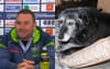 Old Kelpie With Digestive Issues Devastated After Ricky Stuart Compares Him To Jaeman Salmon