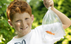 Goldfish Comes Home In Plastic Bag That Will Outlast Fish By 150,000,000 Years