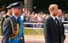 Media Vultures Furious Harry And William Didn’t Break Into Fistfight Behind Grandma’s Coffin