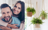 City Couple Horrified To Learn Regional Inbreds Buy Indoor Plants Without Woven Hanging Baskets As Well