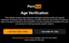 Social Media Age Limits To Be Enforced Using The Same Very Successful System As Pornhub