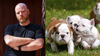 Dodgy Suburban Bulldog Breeder Deeply Offended By Accusation That He’s An Animal Lover