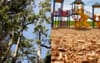 Chunk Of Beautiful Old Growth Forest Ends Life As Piece Of Shit Wood Chips In Children’s Playground