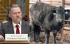 US Trade Chief Says Australia Deserves Tariffs For Refusing To Eat Their Drugged Up Mutant Livestock
