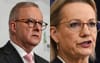 Sussan Ley Says Anthony Albanese Should Have Added Extra Letters To His Name To Get Meeting With Trump