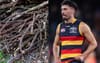 Adelaide Crows Plead The ‘Bundle Of Sticks’ Defence