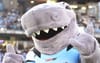 Report: The Sharks Just Making Up The Numbers