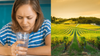 Woman Tasting Adelaide Tap Water For The First Time Now Understands Why They Drink So Much Wine
