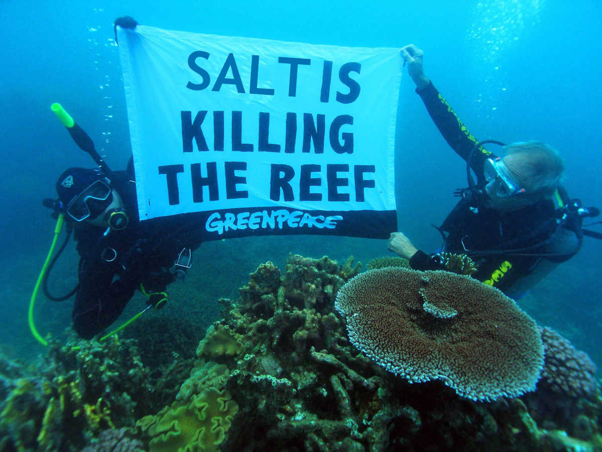 A LNP-sponsored newspaper ad that clearly shows that Greenpeace is "out of touch" with ocean enthusiasts SOURCE: LNP Brisbane
