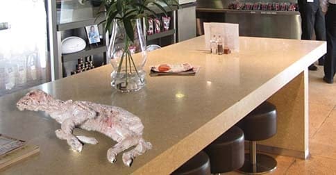 A dead lamb in Jones The Grocer's Woollahra supermarket. PHOTO: RSPCA