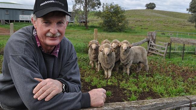 Milo Mallhouse has been called "Tim" by his mates down at the pub ever since his wife became mayor. PHOTO: Peter LeStrange/Bingara Free Press