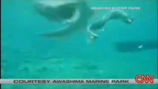 prehistoric_shark_captured_on_film