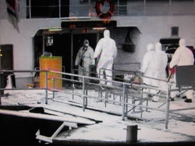 Cleaning crews ender the Carnival Spirit this morning to deal with "vomit". PHOTO: 9NewsNow