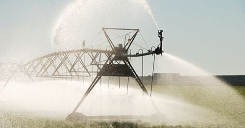 DHMO use is controlled on properties which have been declared "in drought". PHOTO: Supplied.