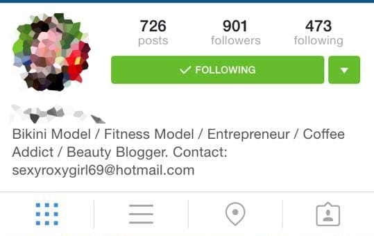 The information bio for a stereotypical "bikini model / entreprenuer"