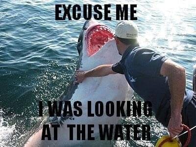 Shark_meme_water_.jpg was Xavier's first meme to feature on @BrownCardigan